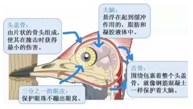 昆明安全帽，安全買(mǎi)冷知識你知道嗎？